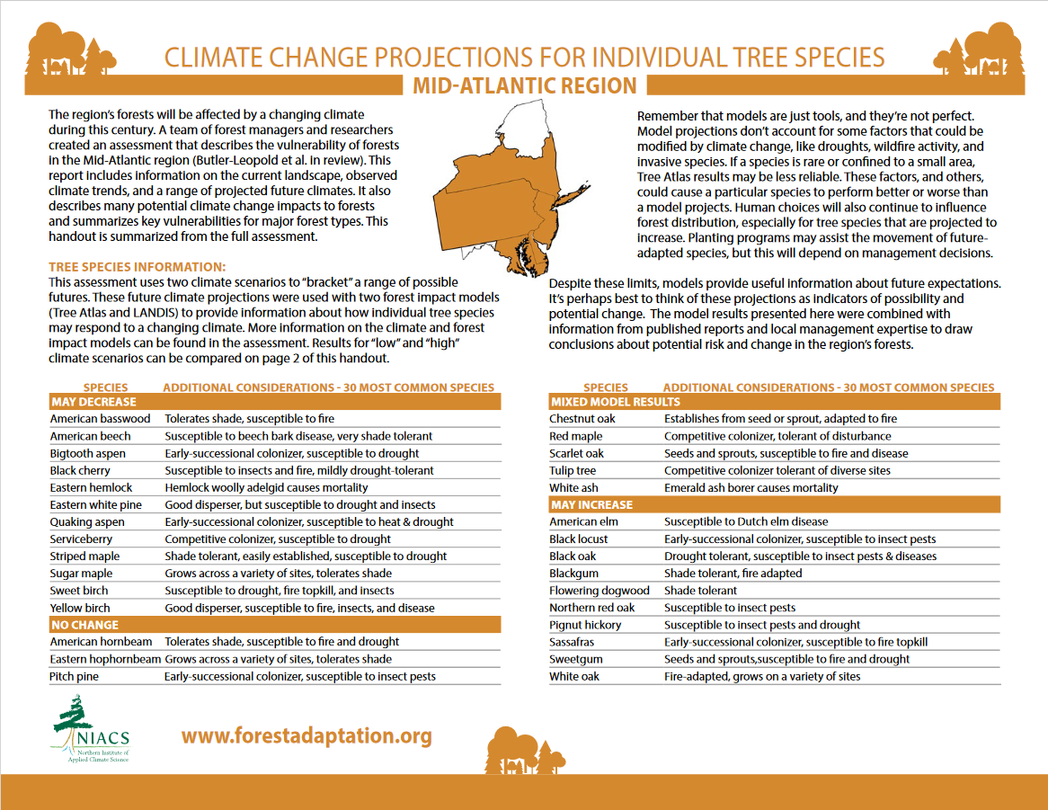 [Climate change projections for individual tree species]